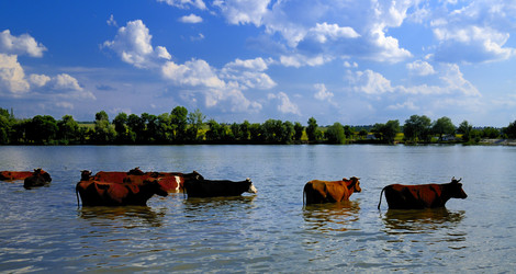 Similar image 1683874