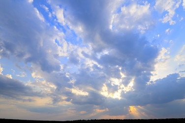 Similar image 1683876