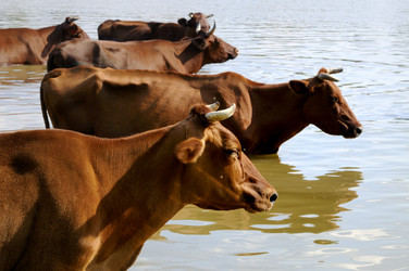 Similar image 1683877