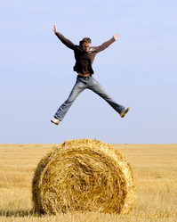 Similar image 1683878