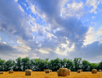 Similar image 1683880