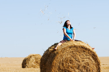 Similar image 1683881