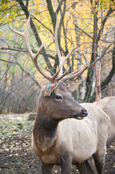 Similar image 1683892