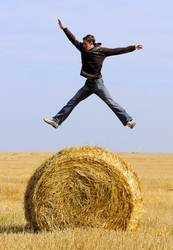 Similar image 1683990