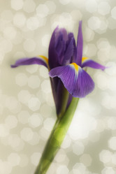 Similar image 1684769