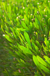 Similar image 1684770