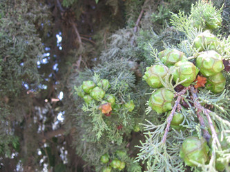 Similar image 1684774