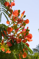 Similar image 1684778