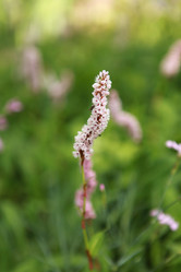 Similar image 1684779