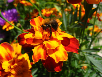 Similar image 1685886