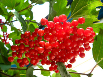 Similar image 1685905