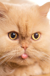 Similar image 1685953