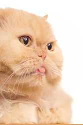 Similar image 1685956