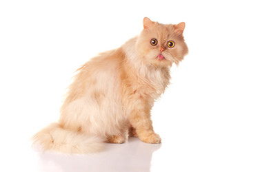 Similar image 1685958