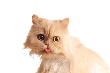 Similar image 1685959