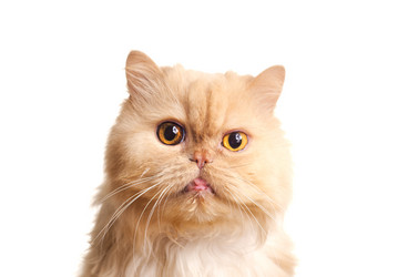 Similar image 1685961