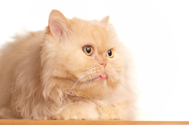 Similar image 1685962