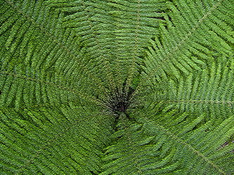 Similar image 1686017