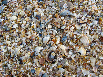 Similar image 1686019