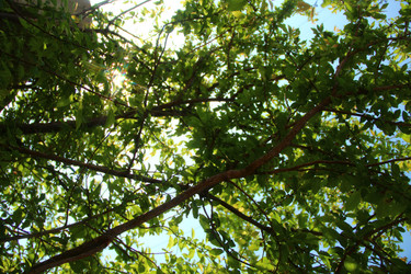 Similar image 1686038