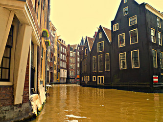 Similar image 1686041