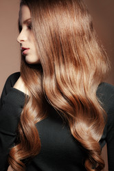 Similar image 1686392