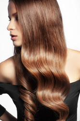 Similar image 1686393