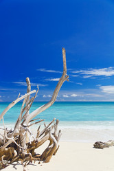 Similar image 1686415