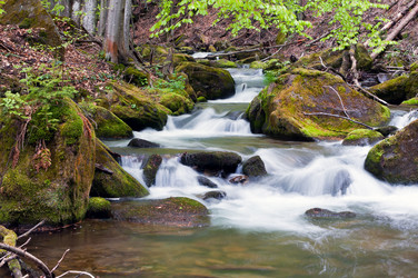 Similar image 1686441