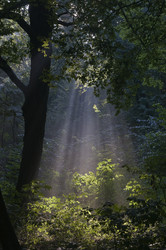 Similar image 1686444