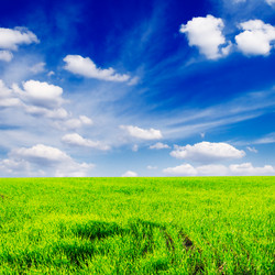 Similar image 1686478