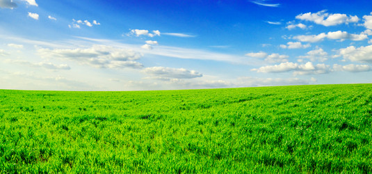 Similar image 1686488