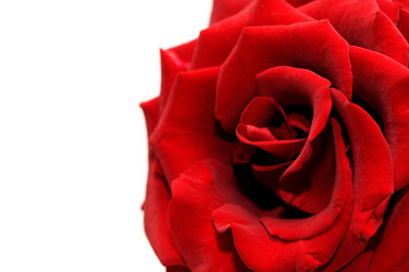 Similar image 1686497