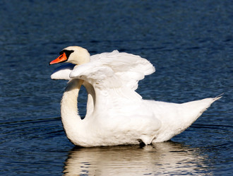 Similar image 1686500