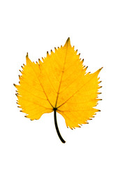 Similar image 1686504