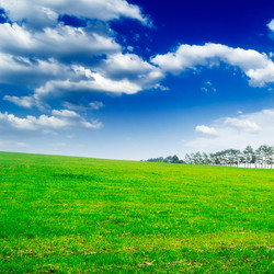 Similar image 1686505