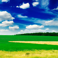 Similar image 1686520