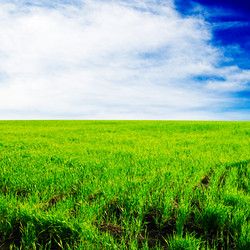 Similar image 1686530