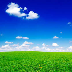 Similar image 1686540