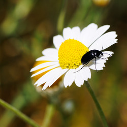 Similar image 1686541