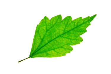 Similar image 1686544