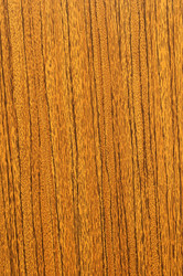 Similar image 1686546