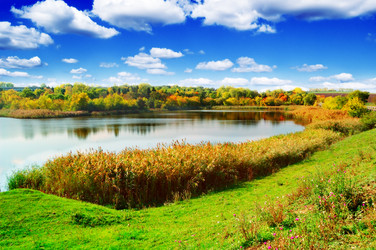 Similar image 1686547