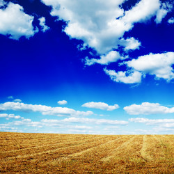 Similar image 1686551