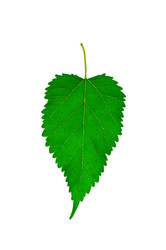 Similar image 1686564