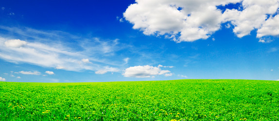 Similar image 1686565