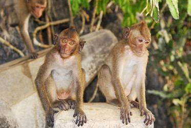 Similar image 1686982