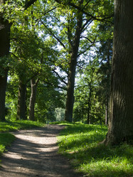 Similar image 1688729