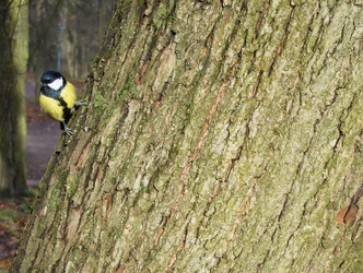 Similar image 1688731