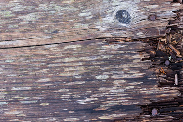 Similar image 1688744